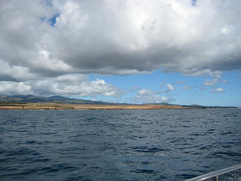 Picture 001